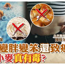 現代小麥早變質!吃麵"血糖飆" 腦袋"變鈍" 還會"致癌"【#小麥的健康筆記】‪@中天電視CtiTv  ‪@健康我加1CtiHealthyme