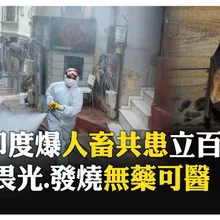 死神來襲? 印度爆"立百病毒"致死率最高達"75%"! 亞洲邊境全戒備  【國際360】20260129@全球大視野Global_Vision
