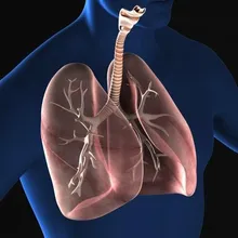 港男肺癌第四期來台治療！雙和醫院「細胞療法」助緩解疼痛