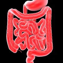 23歲男腸鏡照出「癌前病變」腺瘤!醫揪元兇:香腸培根