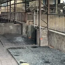 台中地檢署大動作!檢警調防檢組專案小組 查非洲豬瘟案