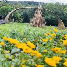 台北士林官邸菊展11/28登場 15展區訴說花藝之美