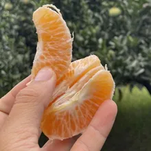 大苑子沒買石虎柳丁風波!生多所曝:加入友善農作超難