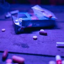 過年換裝藏身聚會！「喵喵」連續7年檢出最多　嚴重恐致死