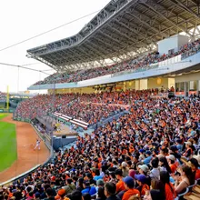 黃偉哲「So What」炎上!亞太棒球場爭議延燒 郭正亮:陳亭妃很尷尬