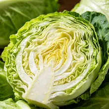 高麗菜別直接冰!日菜販曝「10秒保鮮法」放更久也不易爛