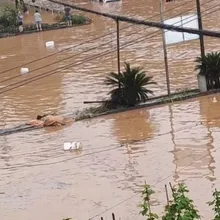 橙色警戒!重慶特大暴雨釀1死17失蹤 時雨量破百毫米