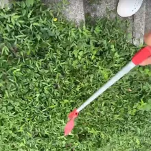 影/淡水運動中心旁驚見眼鏡蛇 動保處:別近水溝別亂抓