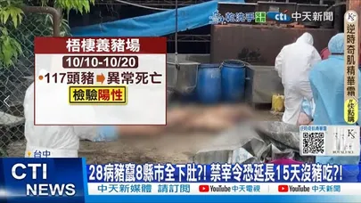 【每日必看】28病豬竄8縣市全下肚?! 禁宰令恐延長15天沒豬吃?! 20251023