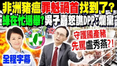 【全程字幕】"罵盧秀燕豬就不會死"?! 非洲豬瘟"罪魁禍首"找到了?! 吳子嘉怒譙"這政府"還在忙選舉...氣到轟這"2綠委"低X兒! @dongsshow