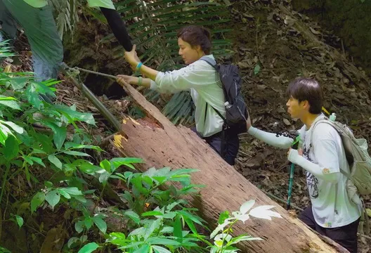 金荷娜、南優賢爬楔隘古道「幾近崩潰」！驚呼：根本魔王等級