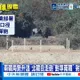 【每日必看】兩韓局勢升溫 北韓自走砲"對準南韓" 射程達24公里 20261027