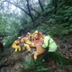 影/46歲男獨攀基隆龍門谷 失足摔落山谷受困2天獲救