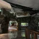 豪雨狂襲雙北!台北動物園樓梯變瀑布 爬蟲館暫停開放