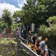瑞芳小粗坑古道健行 4人遭蜂螫傷其中1人送醫