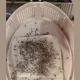 捕蚊燈+雪芙蘭竟是「滅蟲高手」！密密麻麻網驚呆：九代團聚了