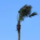 出門要小心！桃園屏東恐出現8級陣風　大風颳到明天