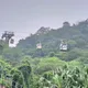 旅客注意!貓空纜車系統異常暫停營運 北捷啟動公車接駁