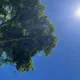 中秋連假烤番薯！8縣市飆36度高溫　花東、恆春偶雨