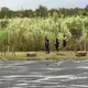 羅東壘球場旁草叢種菜婦驚見蠟化無名屍　警採證比對身分
