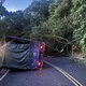北宜公路慘烈事故！路樹突倒塌貨車「來不及閃」擦撞翻覆