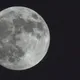 中秋節逢土地公生日　「5生肖」財運一路旺到聖誕節