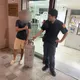 台東網紅咖啡廳瓦斯桶失竊　竊嫌「「有護腰」」警1小時破案