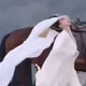 陸劇女神孟子義拍戲出事！「頭往後折」驚悚畫面曝
