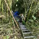 影/南投7旬老夫妻開貨車突暴衝　翻3公尺山谷卡竹林