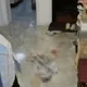 23歲陸女胸口插刀「慘死富二代男友家」！1原因判無罪　家屬崩潰