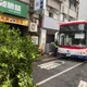 影/新店公車連2天出事！高速撞斷路樹　車上滿是乘客狂尖叫