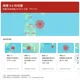 日本青森23:33再發生規模5.6強震　3公尺高海嘯襲北海道撤3650人