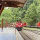 影/小火車卡半路！阿里山林鐵轉轍器故障　91人被迫等38分鐘