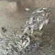 豪雨狂炸苗栗！水退驚見成群「吳郭魚」仆街　網笑：準備報恩了