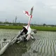 輕航機墜落雲林虎尾　52歲男駕機失控「插進田裡」緊急送醫