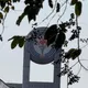 3個月噴25億！中油宣布5月瓦斯「凍漲」　中東亂局也沒轍