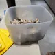澎湖包棟客拿「奶瓶消毒鍋」蒸牡蠣　業者嘆：整台報廢