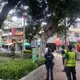 酒膽包天！台中2男嫌太熱爬2米高樹上喝酒　結果下不來
