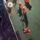 影/分秒必爭！鵝鑾鼻外海船長中風！　黑鷹直升機緊急出動