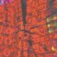 COMPUTEX登場「AI押寶行情預熱」!法人看好2件大事推升台股再創新高