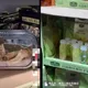 山東美式賣場貨架驚見「雞骨頭與空瓶」 網酸:像在吃自助餐