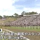 日本福島縣傳統祭典傳意外!馬匹暴衝撞人群釀6傷