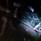影/新竹山區休旅車滑落邊坡2人墜谷 警即刻救援