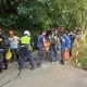 新北三峽山區登山客遭蜂螫 3人受傷警消急救援