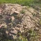 影/花7800萬買地變垃圾場!建商拒買 房仲竟討500萬本票