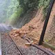 樹倒阻鐵路!集集線「濁水=集集」一度中斷 台鐵:已恢復行車