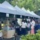 花蓮「光復稻香節」端午拚觀光!台糖冰店喜見超長人龍