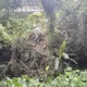 暴雨生吞民宅?新莊驚傳「山崩土石流」 直衝社區嚇壞住戶