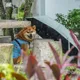 颱風才剛走!西南風挾水氣 大台北、西半部山區15日防大雨