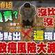 問題油風暴今昔一比就知誰負責! 食安專家文長安提醒“這樣做”去除大量苯駢芘